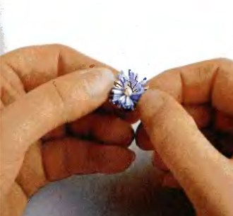 Делаем маргаритку с бахромчатым краем в технике квиллинг в фото