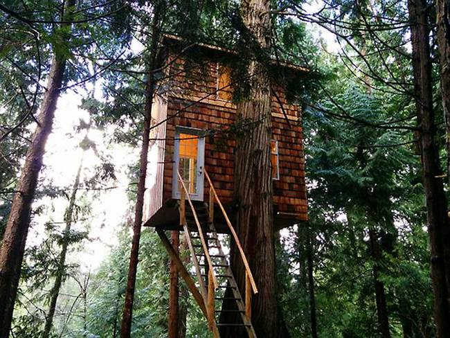 Домик на дереве с лестницей: один из вариантов экономичного жилья