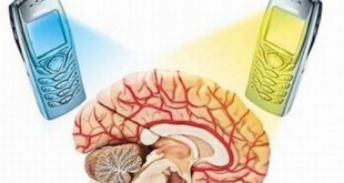 Влияние телефона на мозг