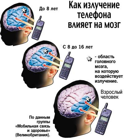 Как микроволны сотового телефона влияют на мозг