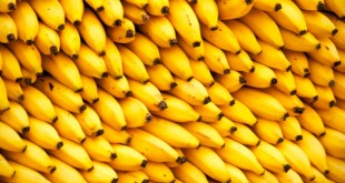 Банан: виды, польза, история