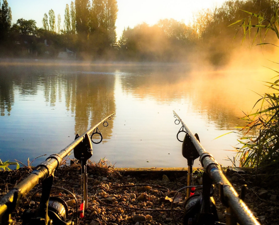 Beginners Guide rods
