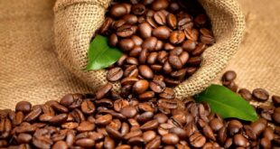 Кофе в зернах: руководство для ценителей